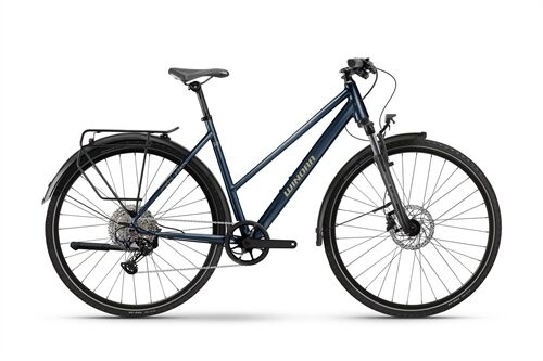 Winora Domingo X12 Pro Trekkingrad 2026