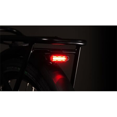 Lupine C14 G E-Bike Rücklicht für Gepäckträger