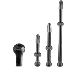 SCHWALBE VENTIL TL 2ER-PACK 60 MM