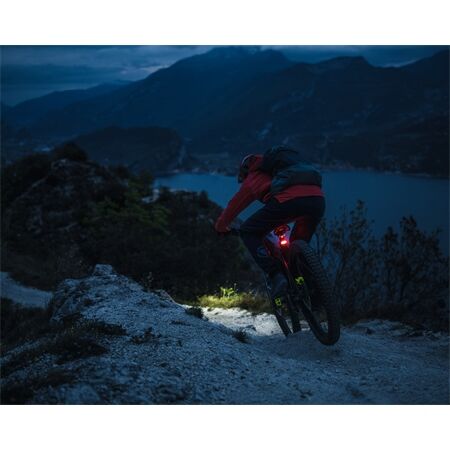 Lupine C14 BL E-Bike Rücklicht mit Bremslicht | 38,6 mm