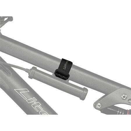 Lupine Klettband | 21 cm