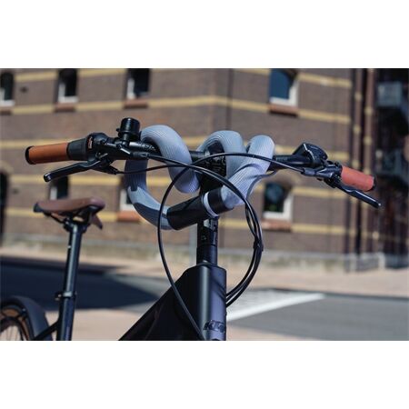 ABUS Kettenschloss Goose Lock 6206K/110 black