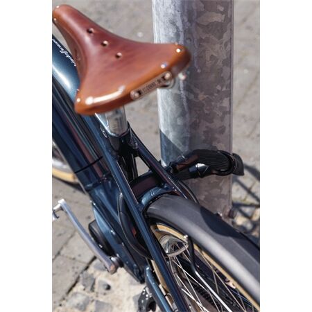 ABUS IvyTex Adaptor Chain ACH IVY 6KS/100 black