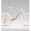 Orbea RALLON RS-LTD E-MTB