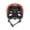 Fox Speedframe Pro Backfade Helm
