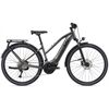LIV Amiti-E+ 1 E-Bike