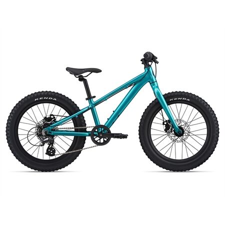 LIV STP 20 Kinderfahrrad