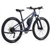 LIV Tempt E+ jr. 26 Kinderfahrrad