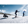 Thule Chariot Cross-Country Ski-Kit