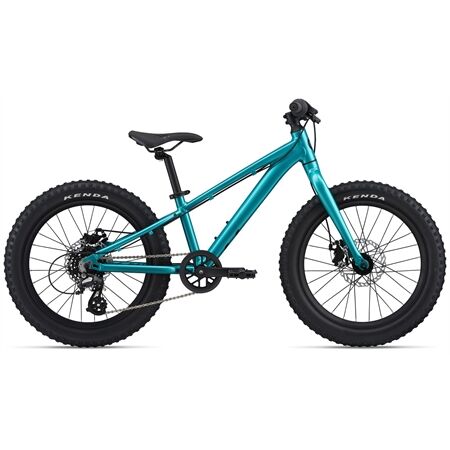 LIV STP 20 Kinderfahrrad