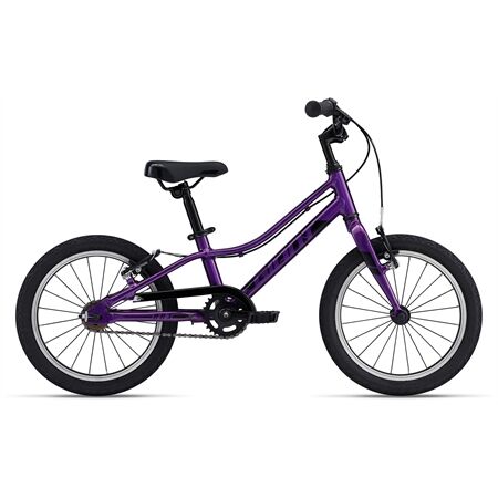 Giant ARX 16 Kinderfahrrad