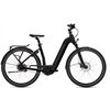 FLYER Gotour6 5.00 E-Bike