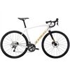 TREK Domane AL 5 Gen 4 2026 Rennrad
