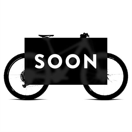 Scott Voltage eRIDE 900 SL E-MTB