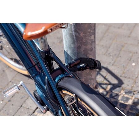 ABUS Rahmenschlosskette IvyTex ACH IVY 6KS 100cm