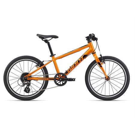 Giant ARX 20 Kinderfahrrad
