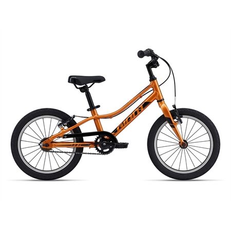 Giant ARX 16 Kinderfahrrad