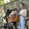 Rixen & Kaul HR KLICKfix Hunde-Fahrradkorb Doggy Plus