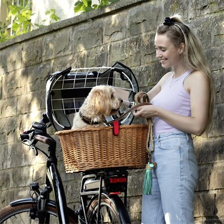 Rixen & Kaul HR KLICKfix Hunde-Fahrradkorb Doggy Plus