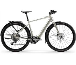 Centurion Speeddrive R2000 D EQ E-Bike