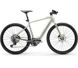 Centurion Speeddrive R2000 D E-Bike