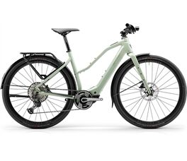 Centurion Speeddrive R2000 T EQ 2025 E-Bike