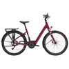 TREK Verve+ 1 Lowstep 2026 E-Bike