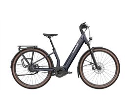 Diamant Suvea Style | 800 Wh 2025 E-Bike