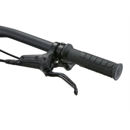 LIV Faith 24 Kinderfahrrad