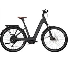 KETTLER TOWN & COUNTRY CX10 2025 E-Bike
