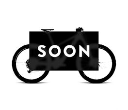 Scott Voltage eRIDE 900 SL E-MTB