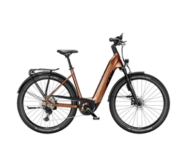 KTM MACINA GRAN 810 ABS 29 E-Bike