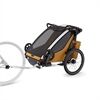 Thule Kindersportwagen Chariot Sport 2 double | gold