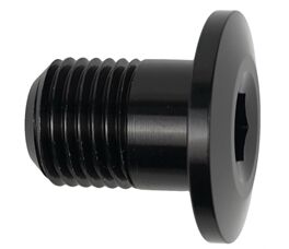 Specialized M2 BATTERY MOUNTING BOLT | MY 19-21 | M12 | 10mm