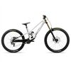Orbea RALLON 450 D-LTD 2026 MTB