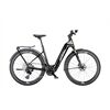 KTM MACINA SPORT SX PRIME X0 T-TYPE Tiefeinsteiger 202