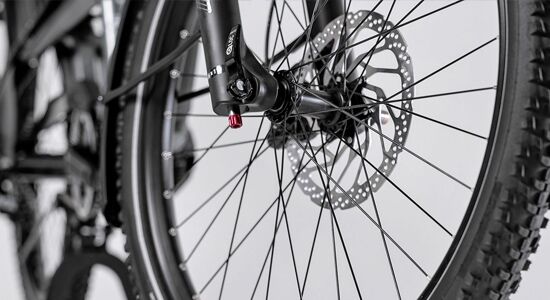 Bikehouse24 - Centurion Vario R960i